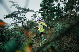 BIB: 
                            <button type="button" onclick="openModal(25258678)" class="btn btn-primary btn-sm float-right btn-popup" data-toggle="modal" data-target=".modal-high-quality">
                        <i class="fas fa-shopping-cart"></i> Add to Cart
                    </button>
                                            <button type="button" onclick="isThisMe(25258678, true)" class="btn btn-success btn-sm float-right btn-popup btn-isme hidden" data-toggle="tooltip" data-placement="bottom" title="นี่คือรูปของคุณใช่ไหม คลิกที่นี่เพื่อเอาเข้าอัลบั้ม">
                        <i class="fas fa-plus"></i> Add to album
                    </button>
                    <button type="button" onclick="isThisMe(25258678, false)" class="btn btn-warning btn-sm float-right btn-popup btn-isnotme hidden">
                        <i class="fas fa-ban"></i> Remove from album
                    </button>